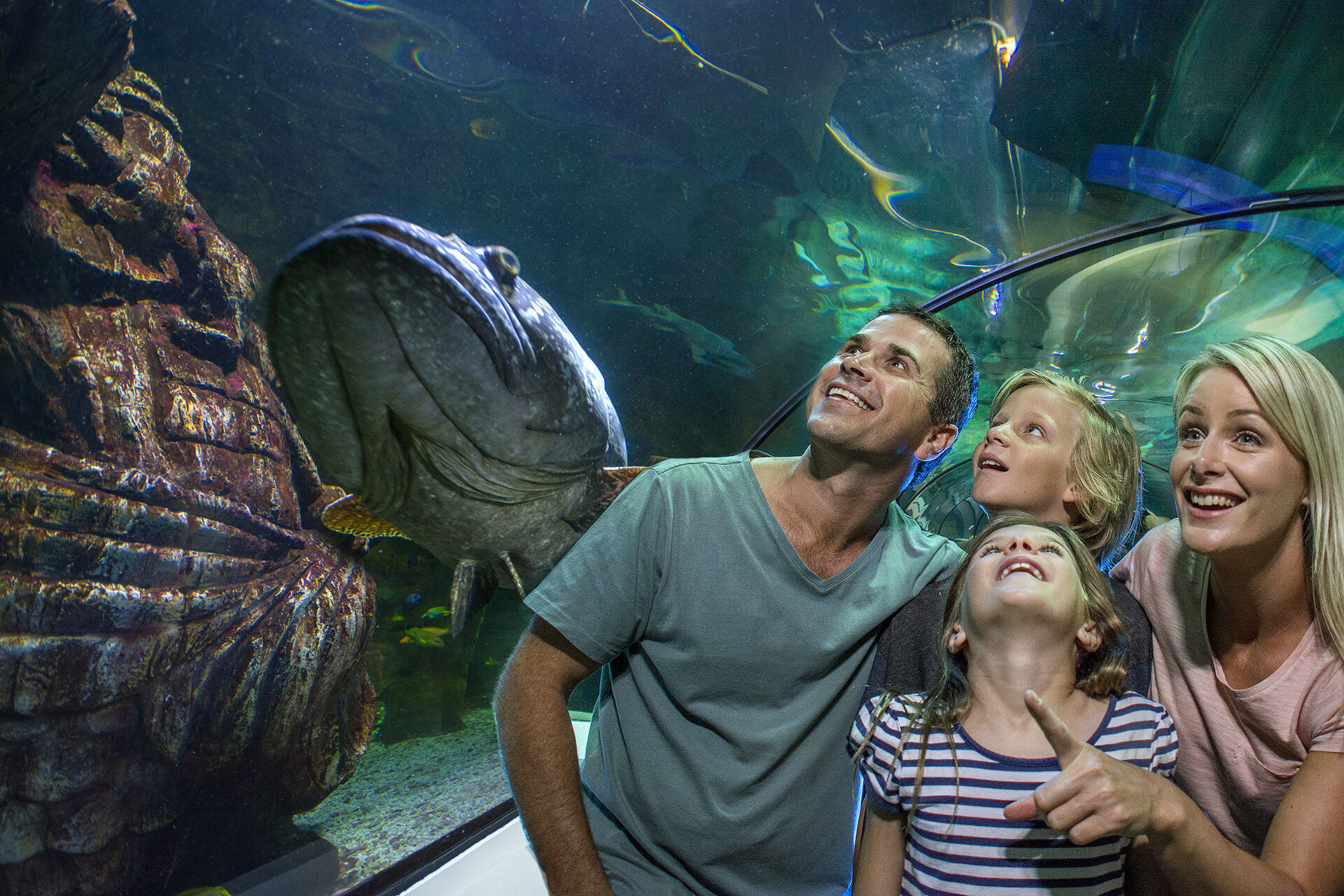 coupons for underwater world sunshine coast